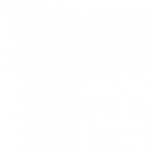 CORTAPELO GM566 13 220