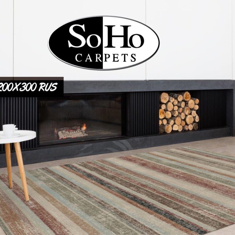 ALFOMBRA DE AREA 200x300RUS