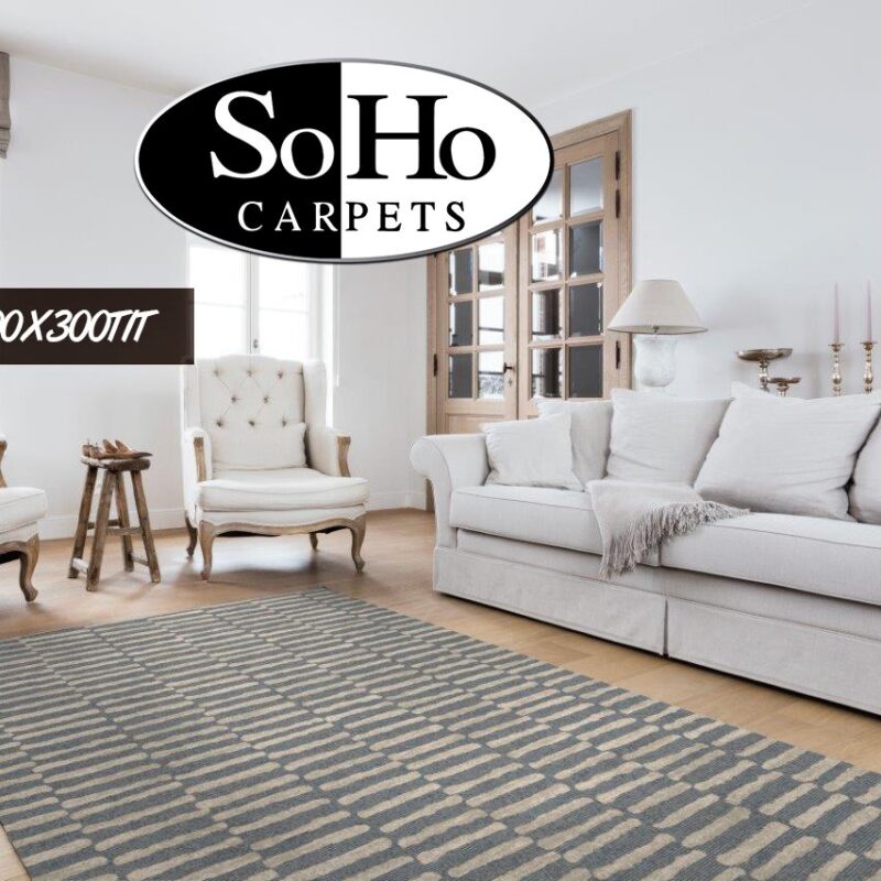 ALFOMBRA DE AREA 200x300TIT