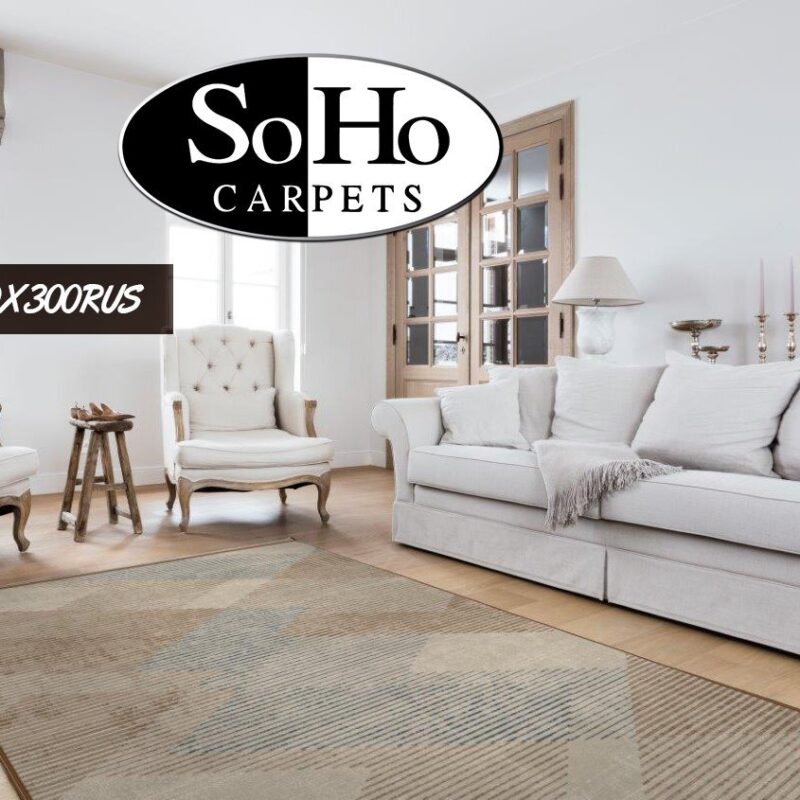 ALFOMBRA DE AREA 200x300RUS