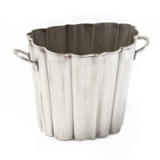 Champagnera Plateada