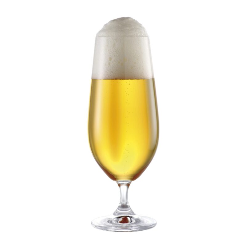 Juego de 6 copas cerveza Natalie 310 ml