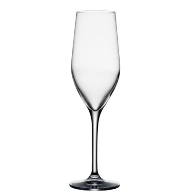 Juego de 6 copas champagne Grand Gourmet 260 ml