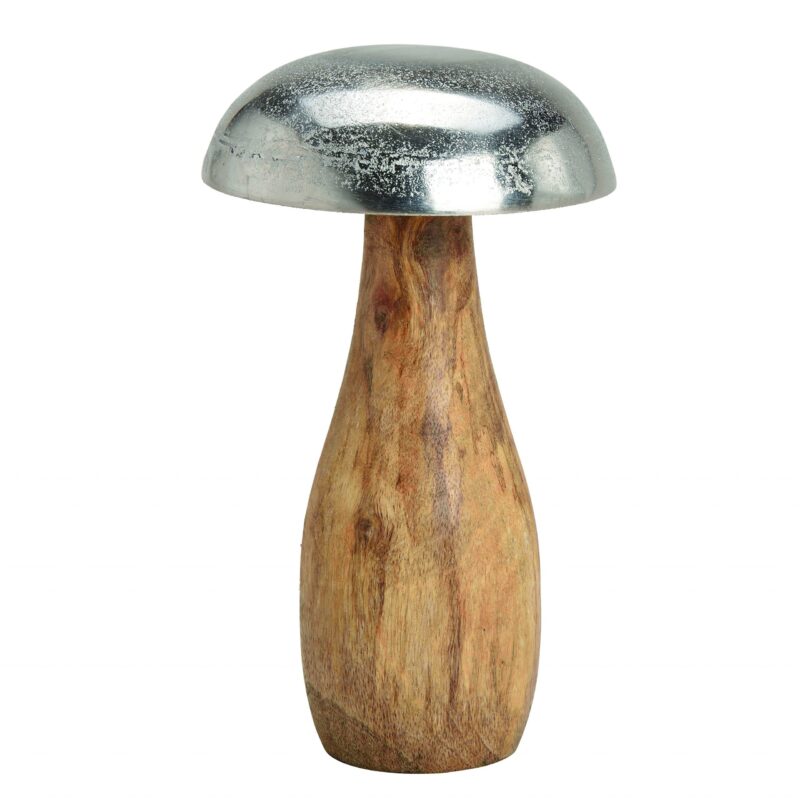 Hongo Alum. Plata 12X20X12