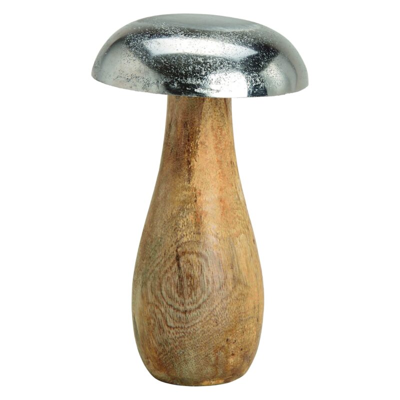 Hongo Alum. Plata 10X16X10