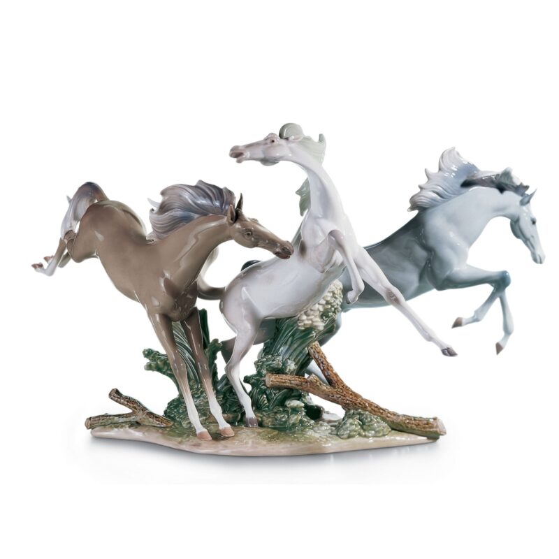 Caballos En Libertad