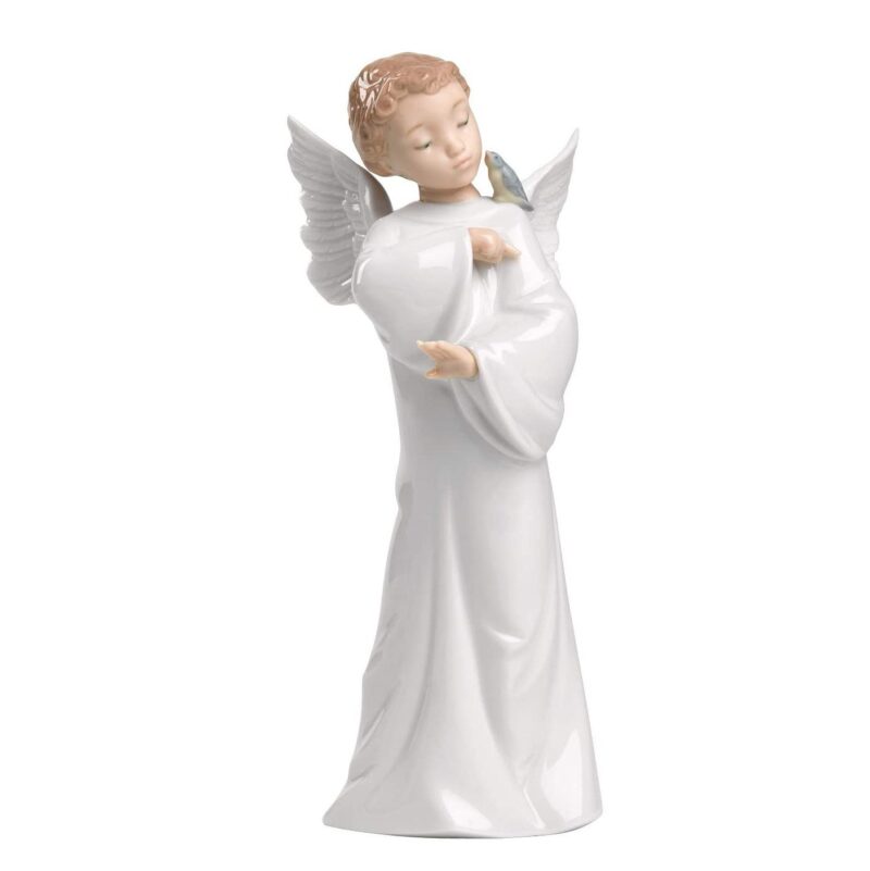 Nao Angel De La Guarda