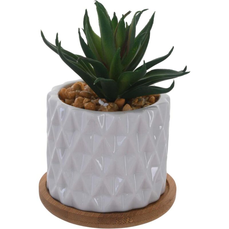 PLANTA ARTIF c/POTE