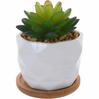 PLANTA ARTIF c/POTE