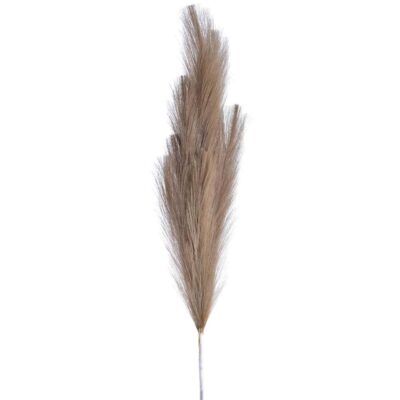 FLOR DE CAÑA GRIS
