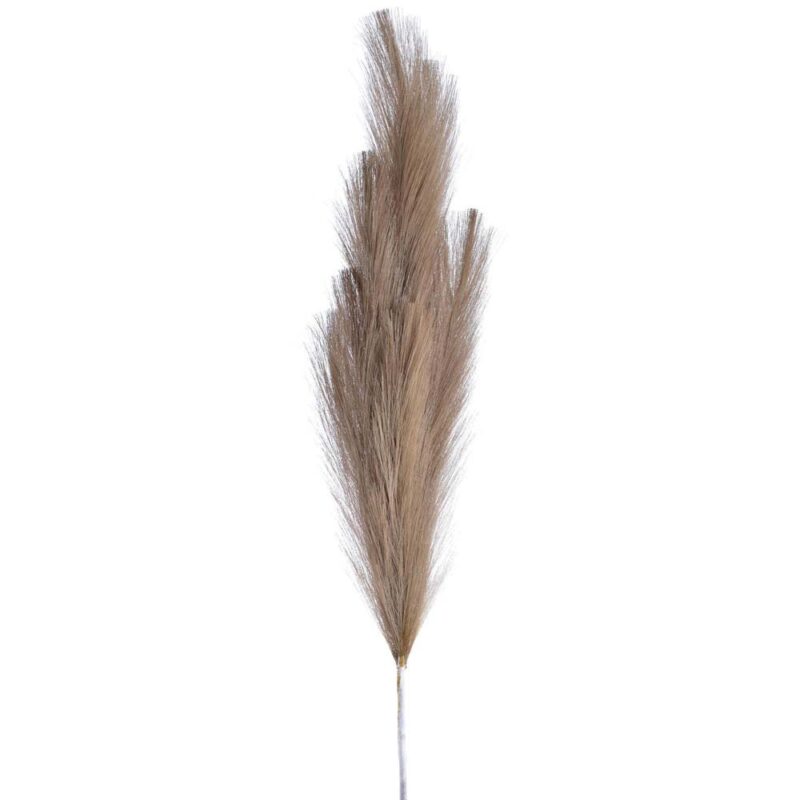 FLOR DE CAÑA GRIS
