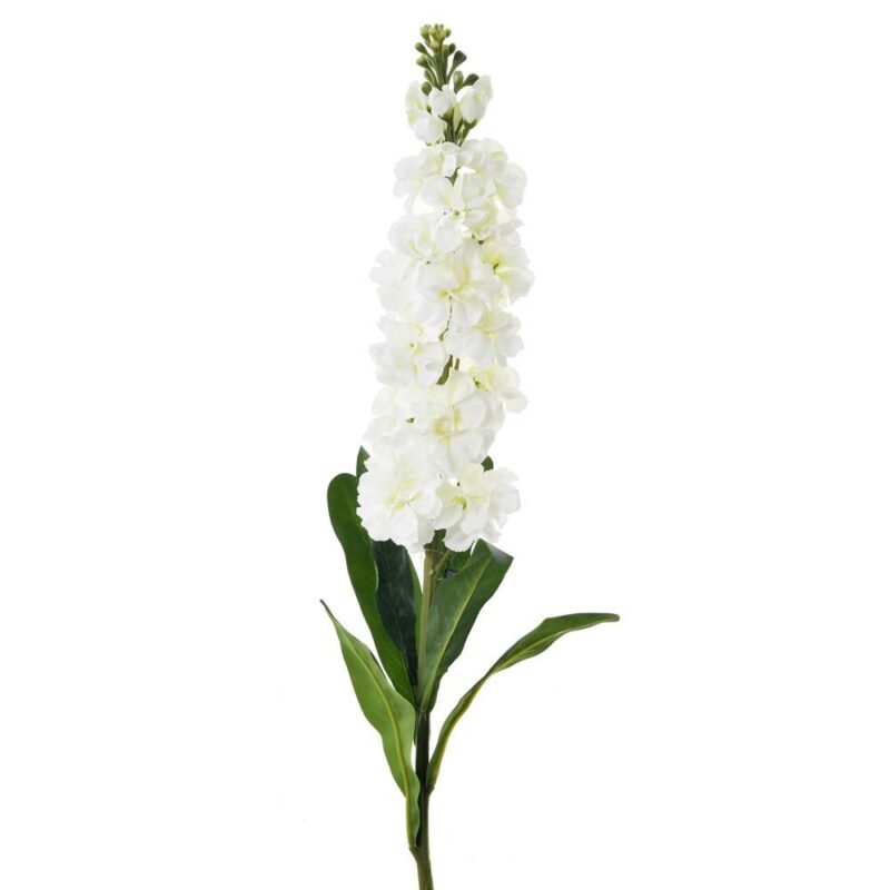 FLOR STOCK BLANCA