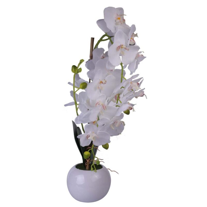 ORQUIDEA BLANCA c/POTE