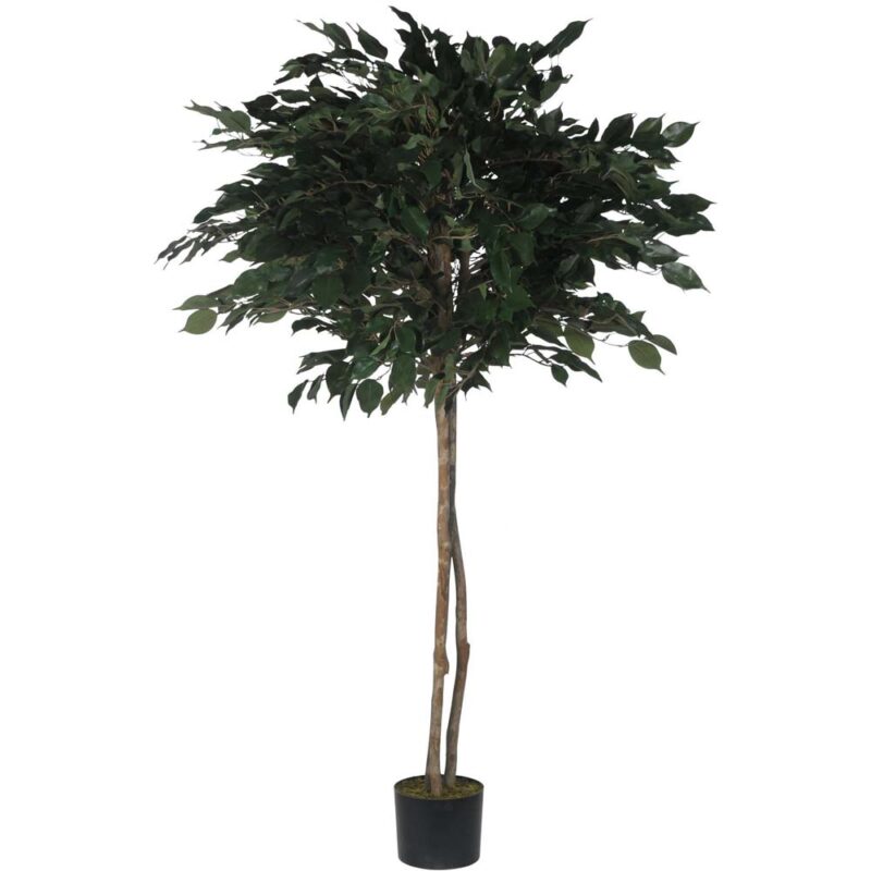 PLANTA ARTIF c/POTE