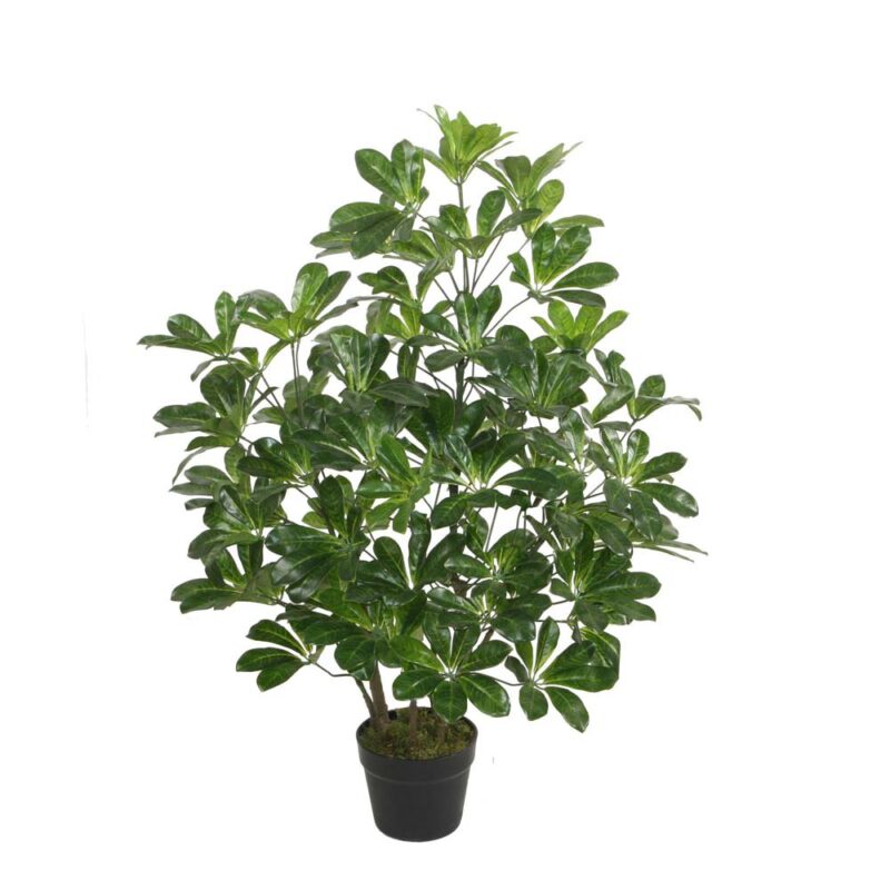 PLANTA ARTIF c/POTE