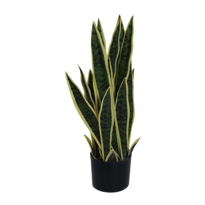 PLANTA ARTIF c/POTE