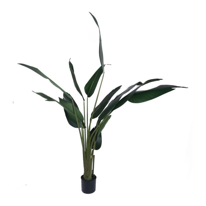 PLANTA ARTIF c/POTE
