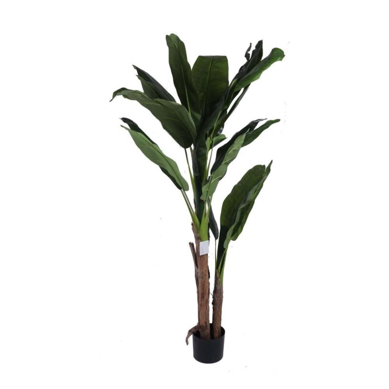 PLANTA ARTIF c/POTE