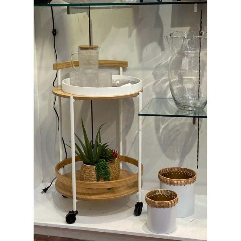 ALOE c/POTE - Imagen 2