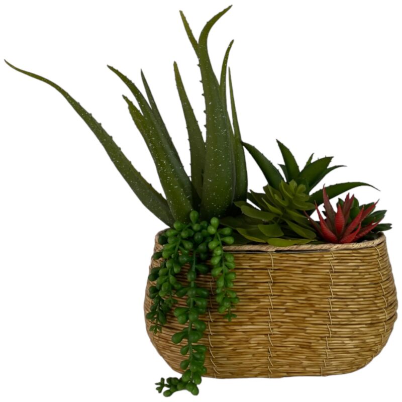 ALOE c/POTE