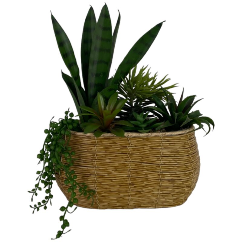 PLANTA c/POTE