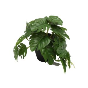 PLANTA DECOR
