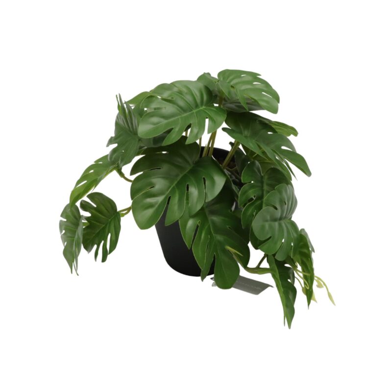 PLANTA DECOR