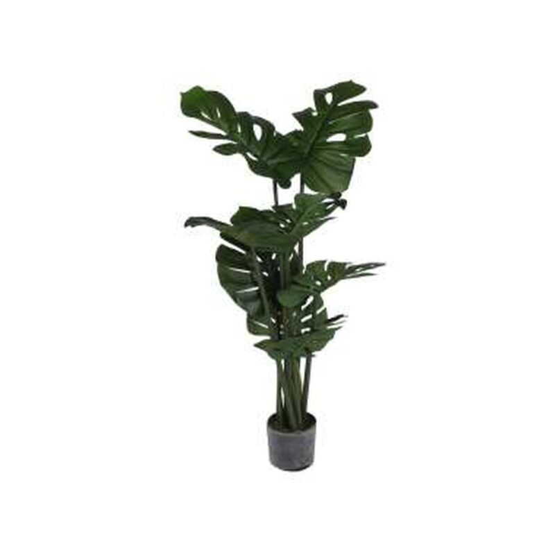 PLANTA c/POTE
