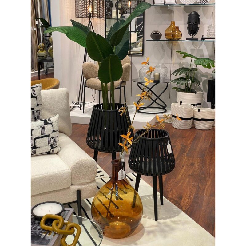PLANTA c/POTE - Imagen 2