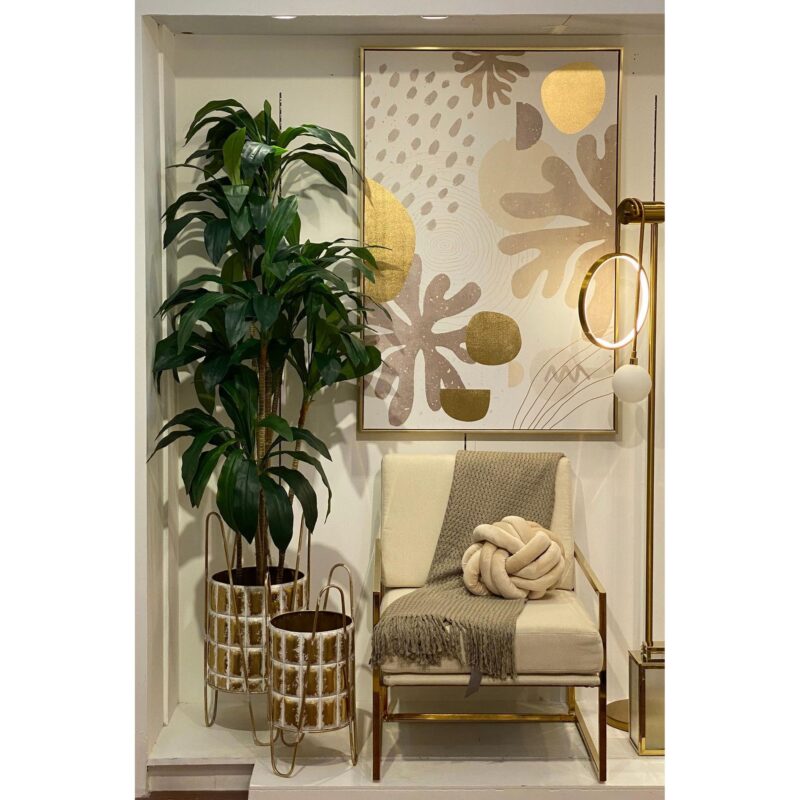 PLANTA c/POTE - Imagen 2