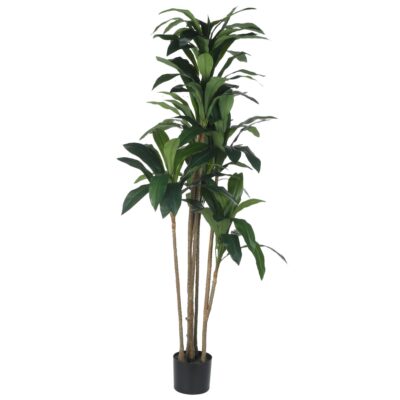 PLANTA c/POTE
