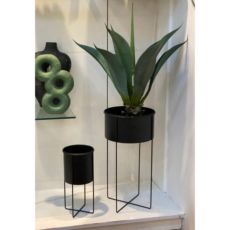AGAVE c/POTE - Imagen 2