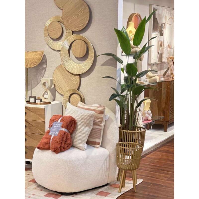 PLANTA c/POTE - Imagen 2