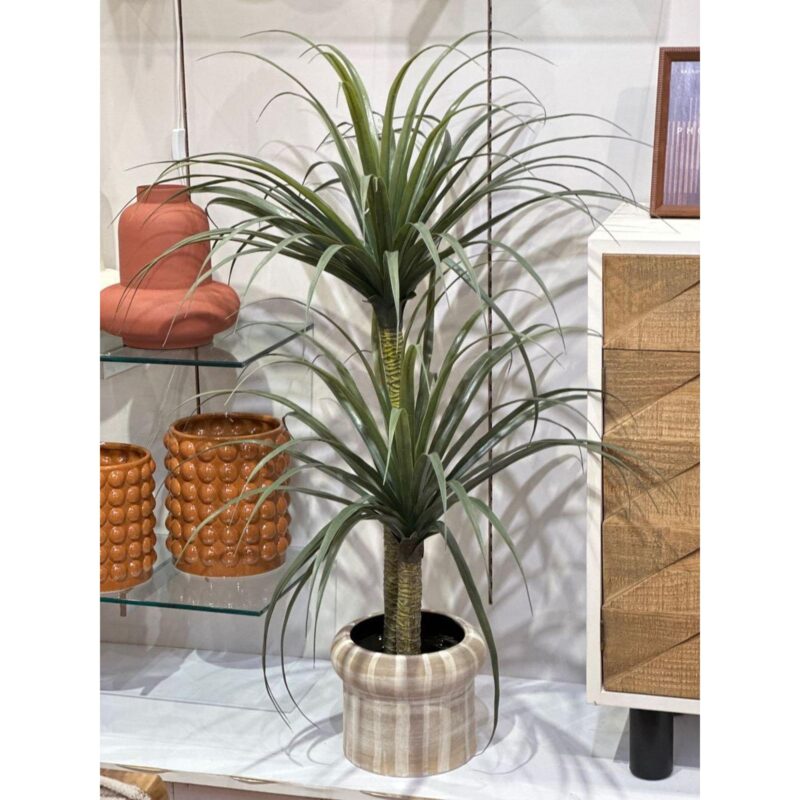 PLANTA c/POTE - Imagen 2