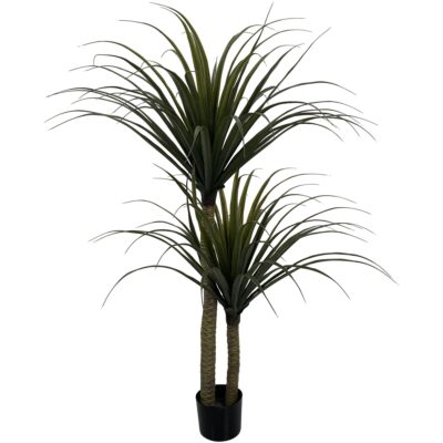 PLANTA c/POTE