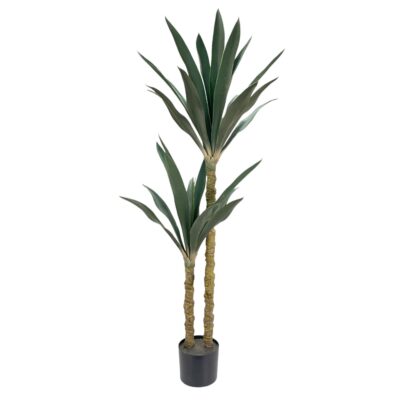 PLANTA c/POTE
