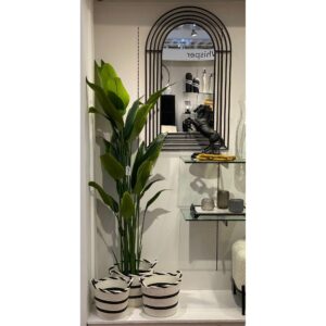 PLANTA c/POTE - Imagen 2