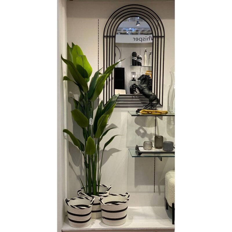 PLANTA c/POTE - Imagen 2