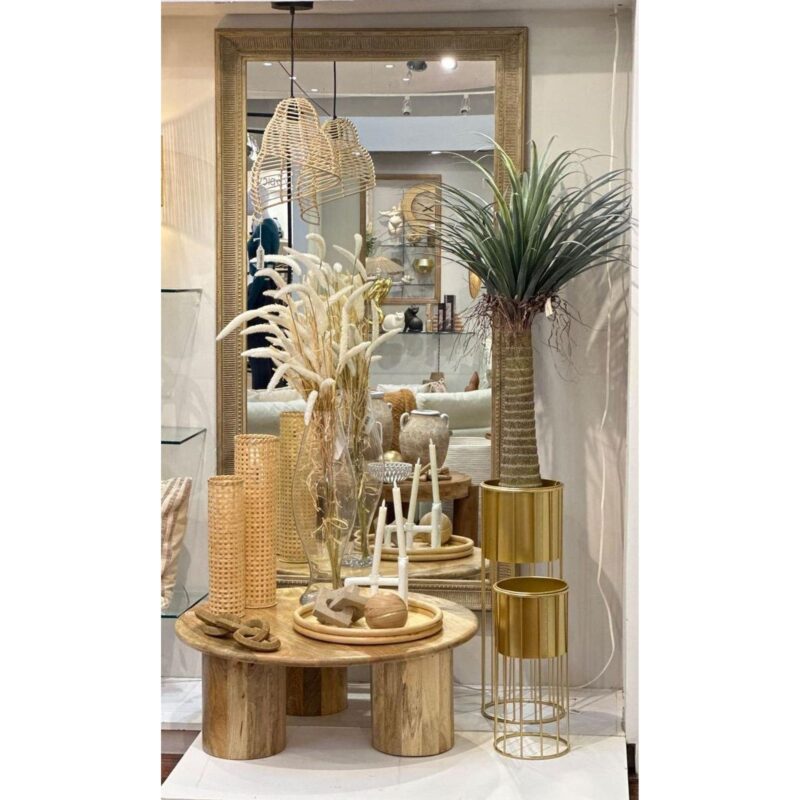 PLANTA - Imagen 2