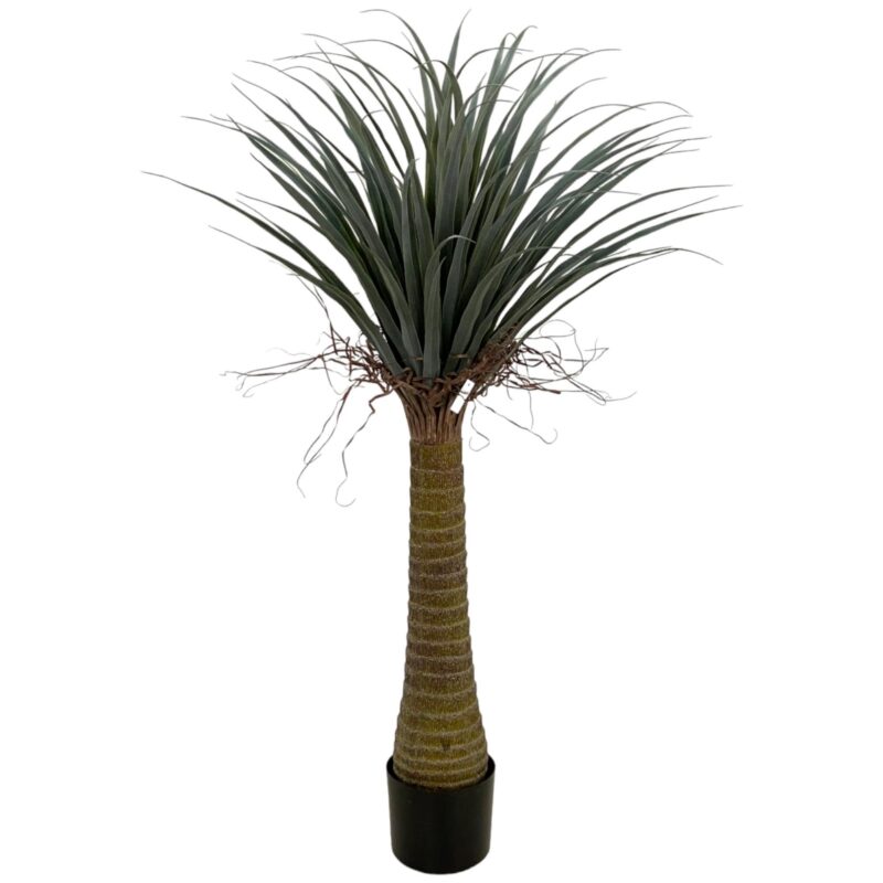 PLANTA