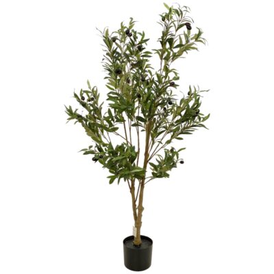 ARBOL OLIVO c/MACETA