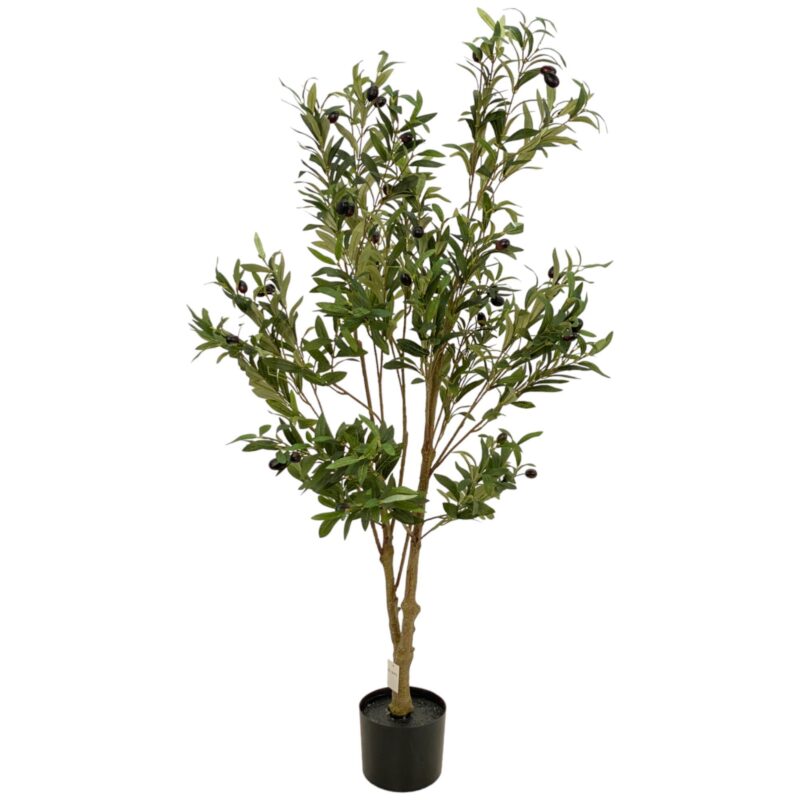 ARBOL OLIVO c/MACETA