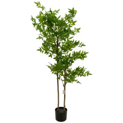 ARBOL NANDINA c/MACETA