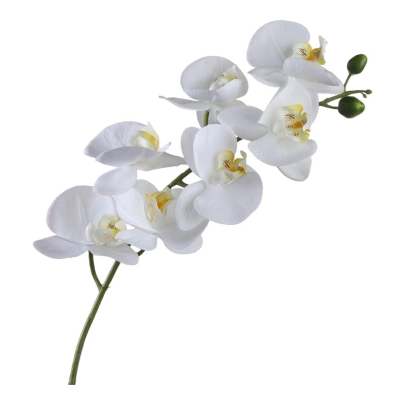 ORQUIDEA c/MACETERO
