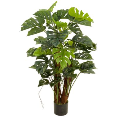MONSTERA DECOR