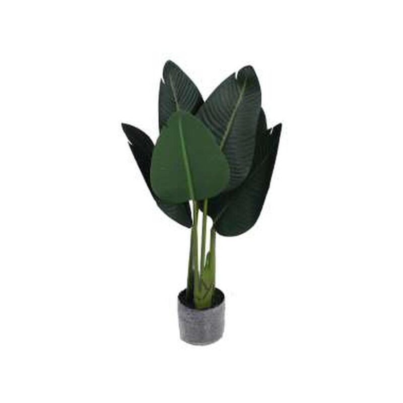 PLANTA c/POTE
