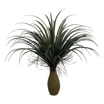 PLANTA c/POTE