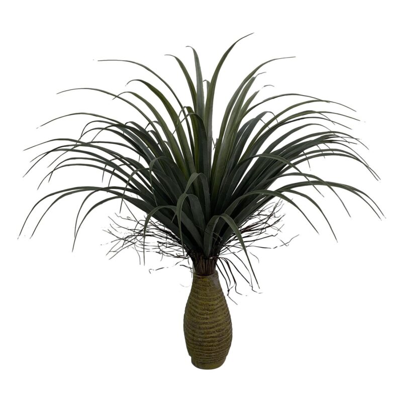 PLANTA c/POTE