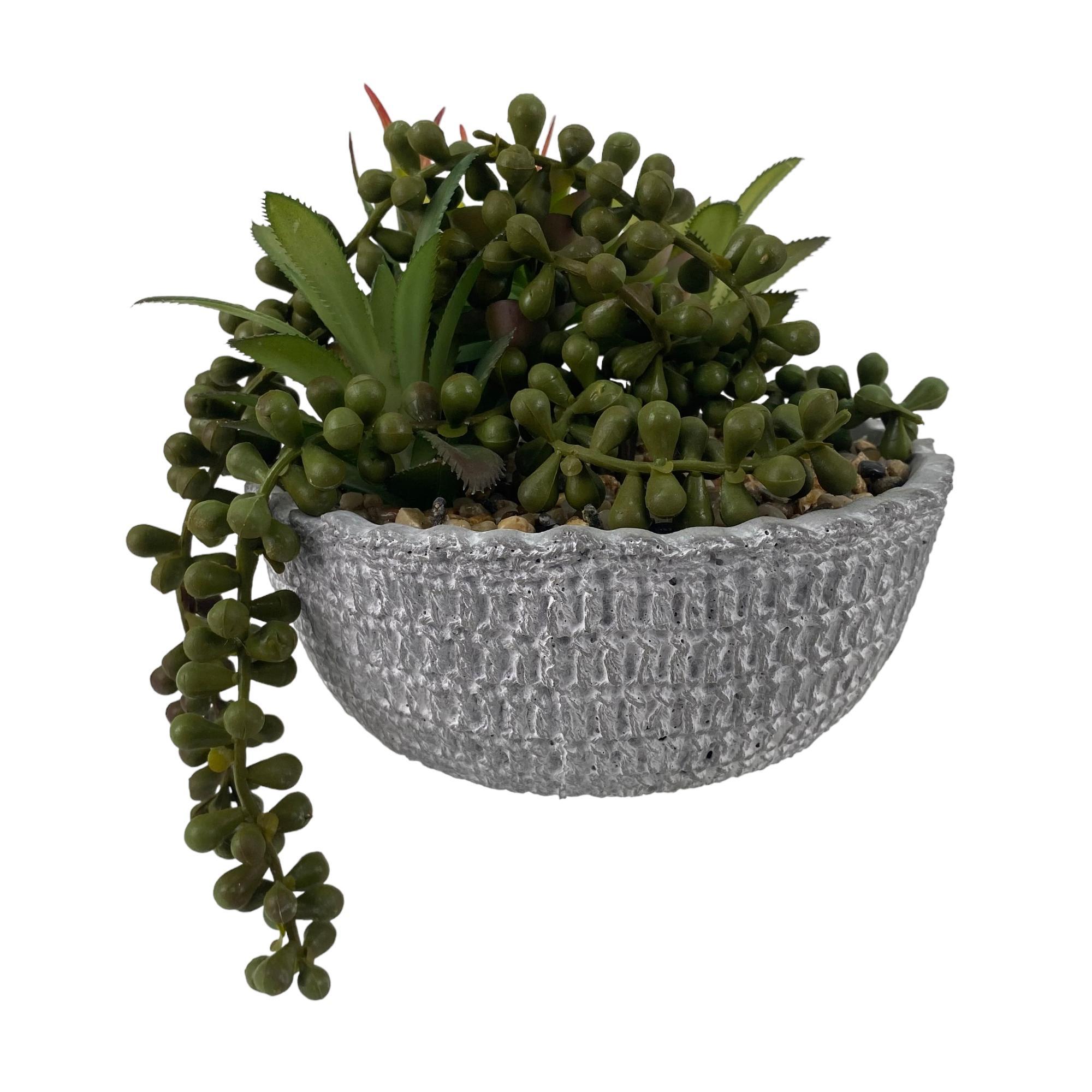 PLANTA c/POTE