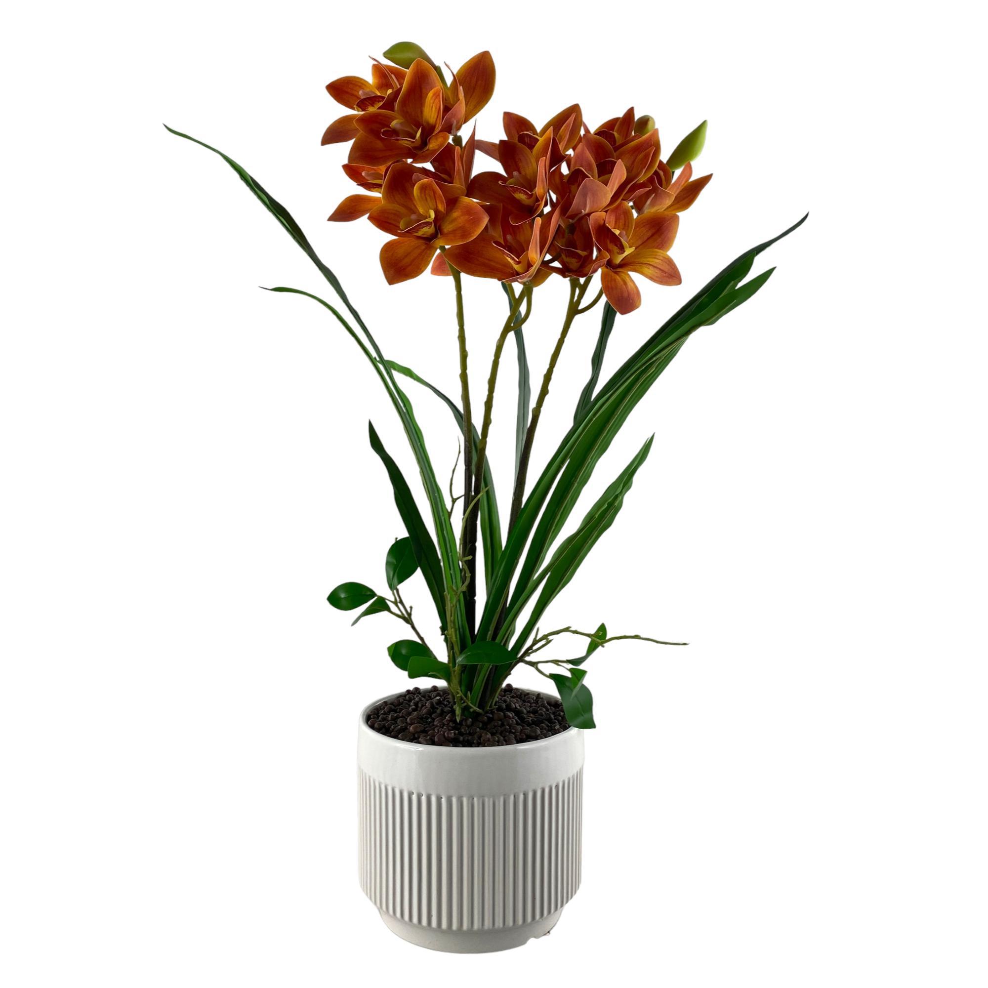 ORQUIDEA c/POTE